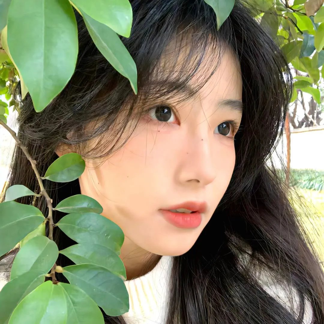 光环第一季